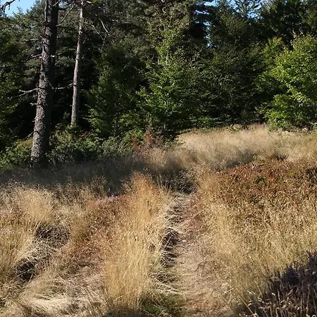 Domaine De La Gardille Gæstehus *