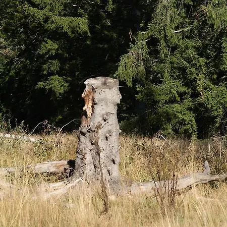 Gæstehus Domaine De La Gardille Cheylard-l'Eveque